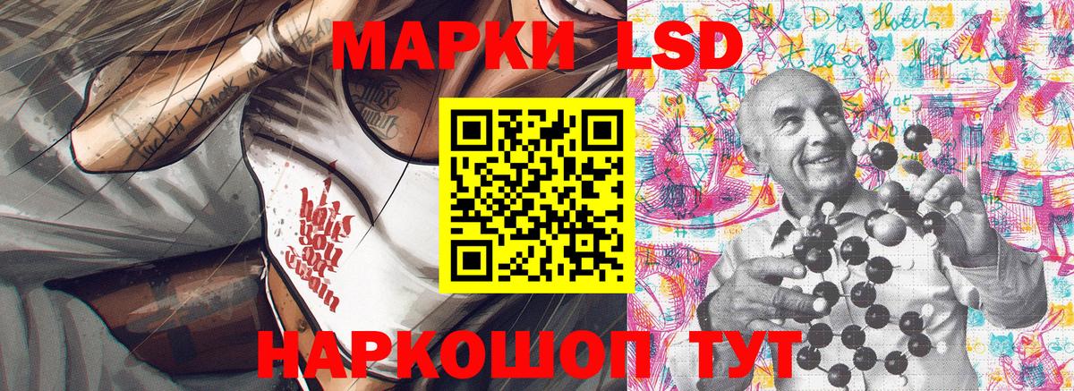Псилоцибиновые грибы Сертолово