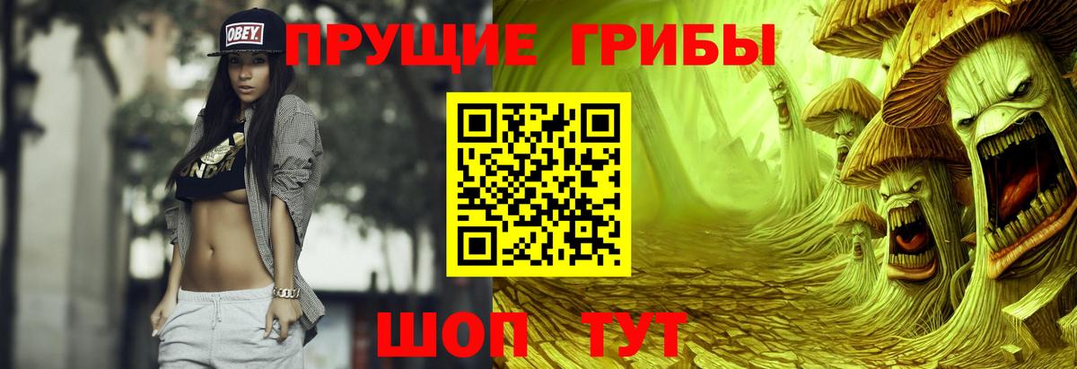 купить закладку  Вход с VPN  Сертолово  Галлюциногенные грибы мухоморы  Галлюциногенные грибы MAGIC MUSHROOMS 