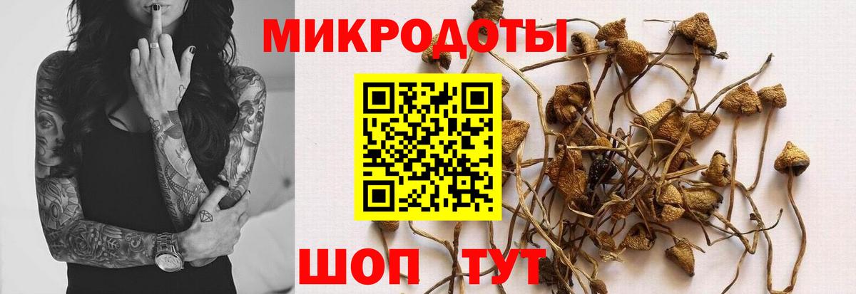 Галлюциногенные грибы мухоморы Сертолово